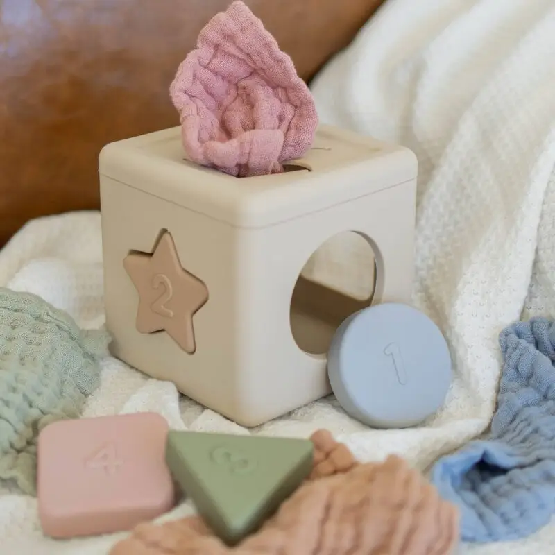 Shape Sorter Tissue Toy