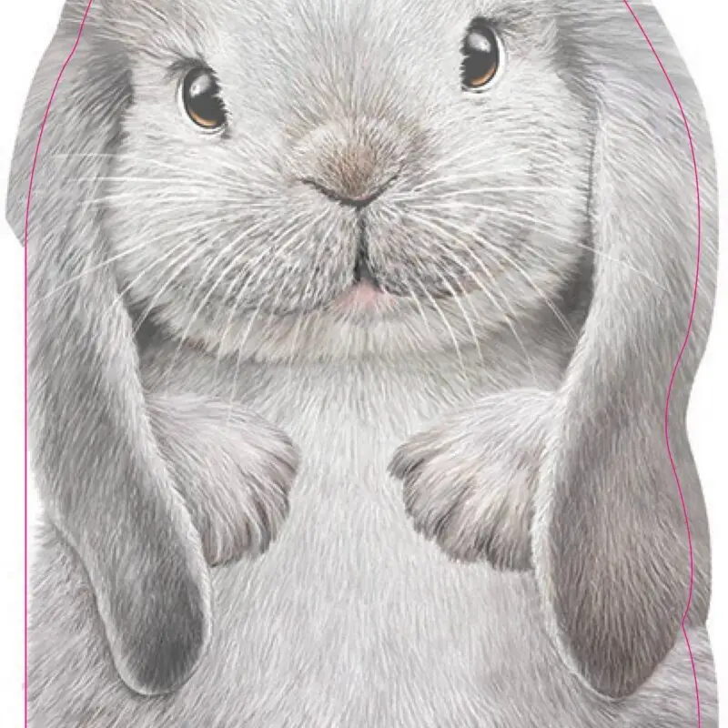 Furry Bunny (BB)