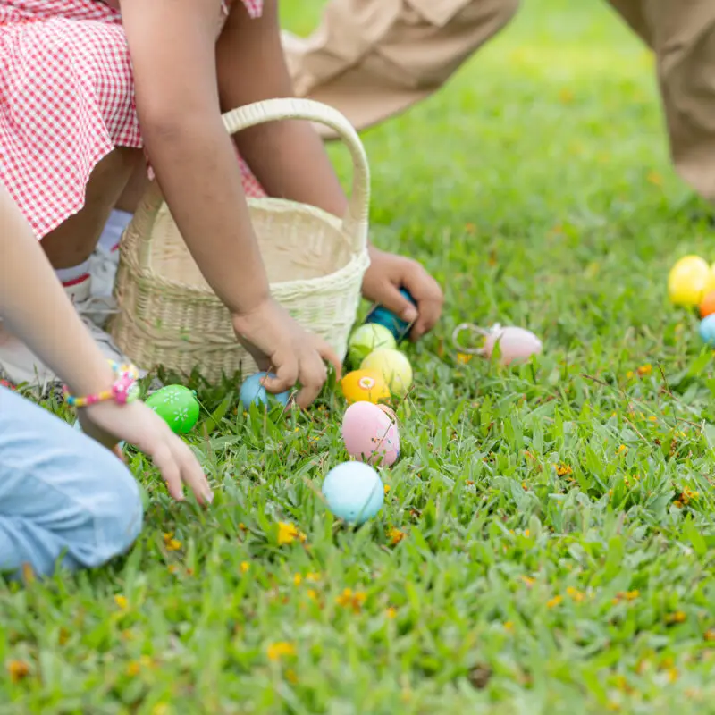 Spring Extravaganza