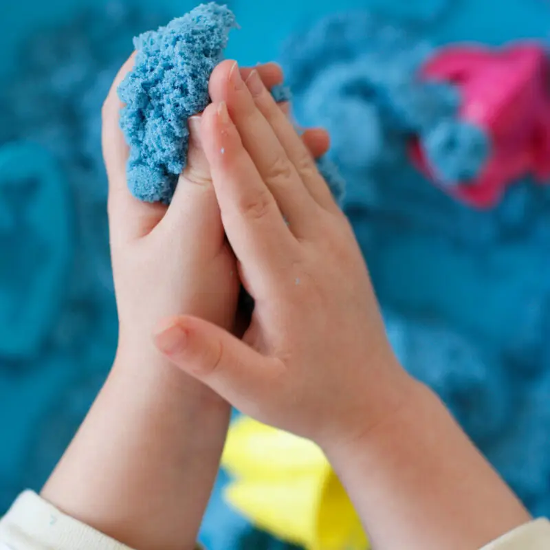 Sensory Class