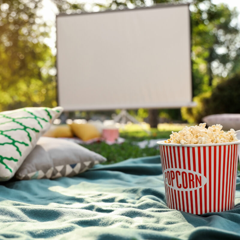 Family Movie Night