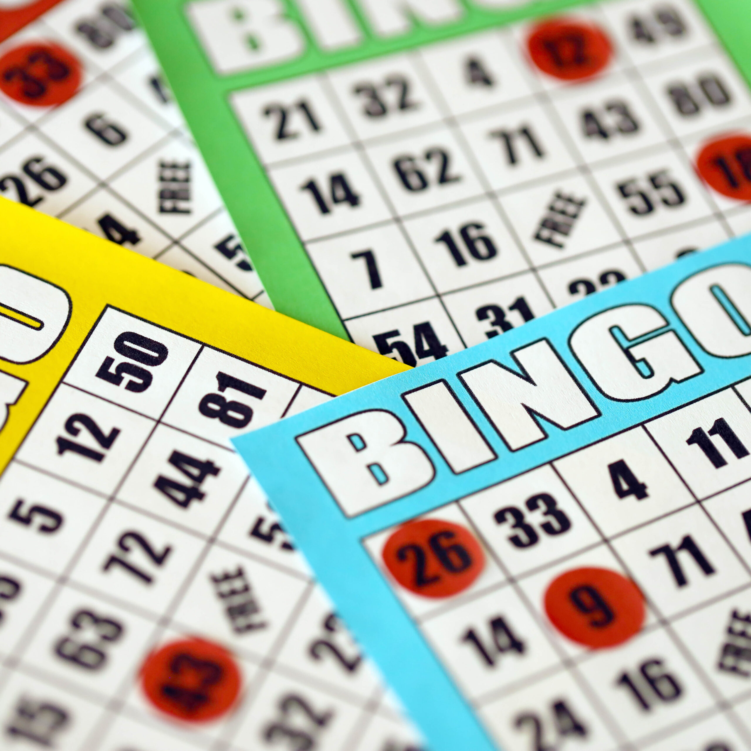 Summer Bingo